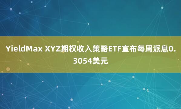 YieldMax XYZ期权收入策略ETF宣布每周派息0.3054美元
