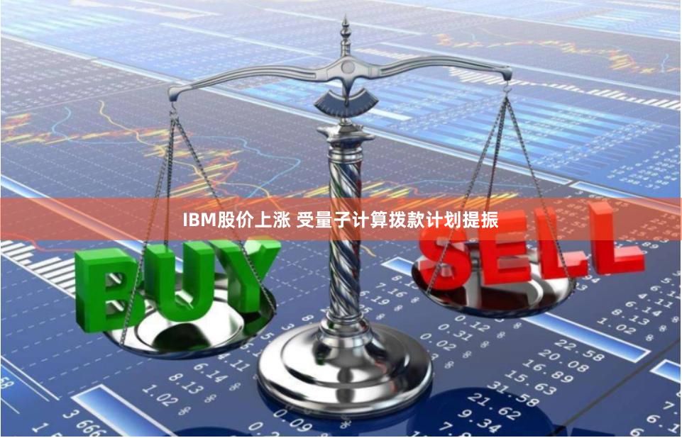 IBM股价上涨 受量子计算拨款计划提振