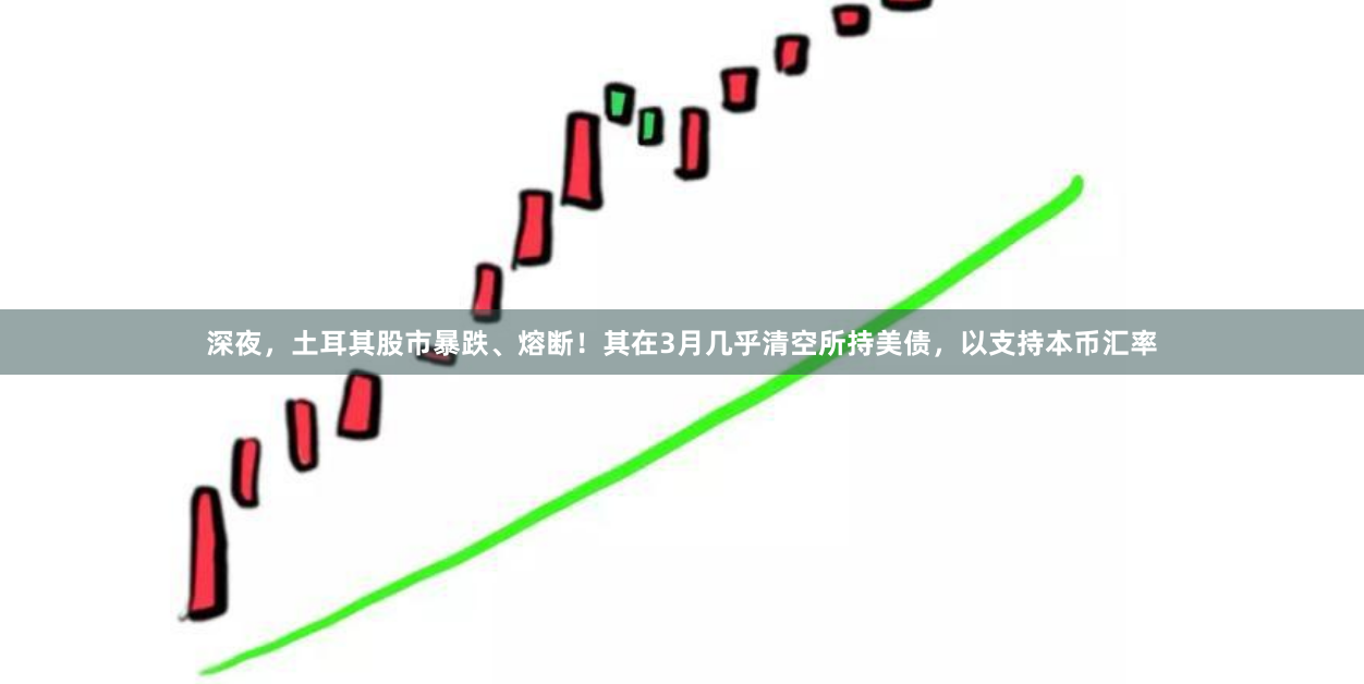 深夜，土耳其股市暴跌、熔断！其在3月几乎清空所持美债，以支持本币汇率
