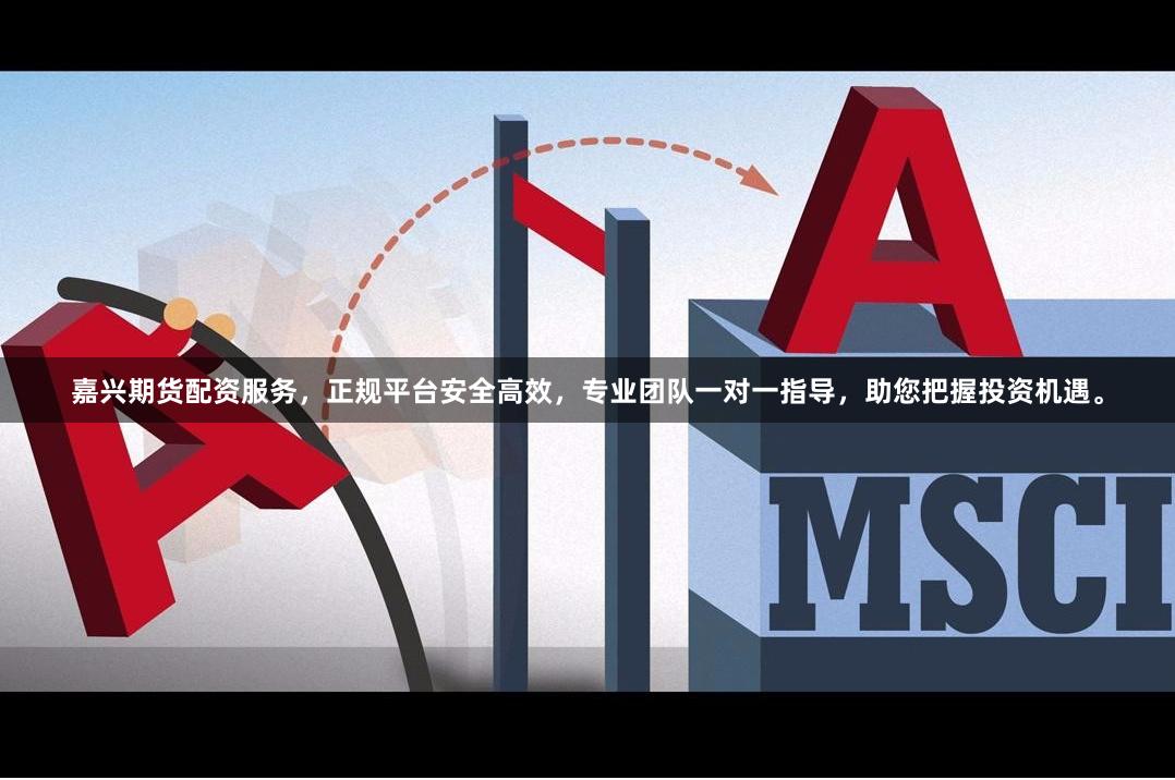 嘉兴期货配资服务,正规平台安全高效,专业团队一对一指导,助您把握投资机遇。
