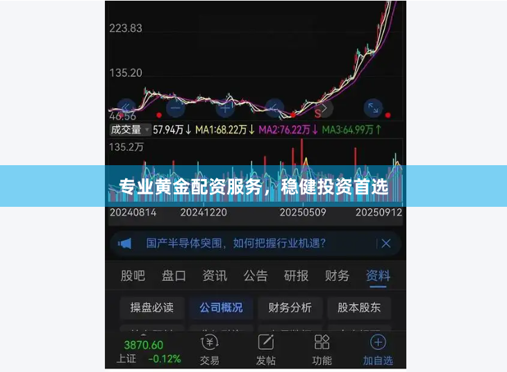 专业黄金配资服务，稳健投资首选